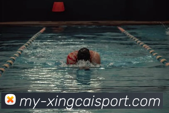 杏彩体育平台生态图